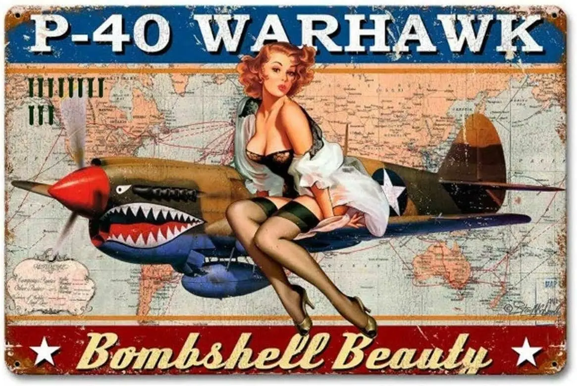1p,Metal Tin Sign Vintage Chic - Home Bar Accessories reseña y precio