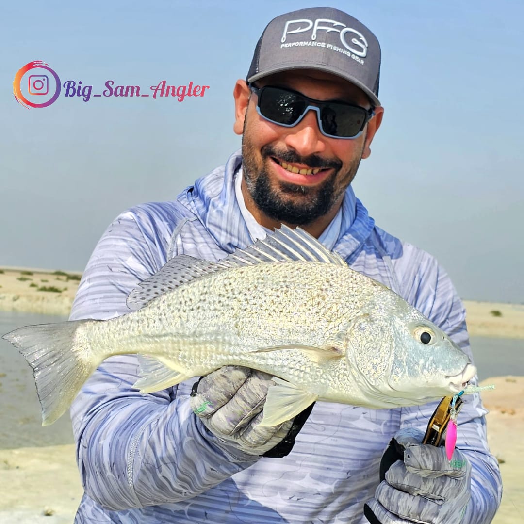 WEIHAI FSTK Metal Jig Assist H - Jigger Double Sided reseña y precio
